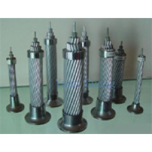 All Aluminum Alloy Conductors (AAAC)